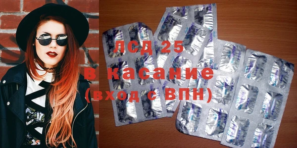 ПСИЛОЦИБИНОВЫЕ ГРИБЫ Алзамай