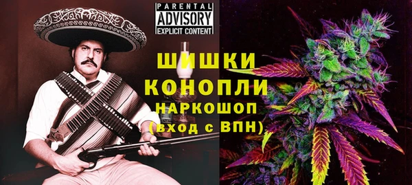 ПСИЛОЦИБИНОВЫЕ ГРИБЫ Алзамай