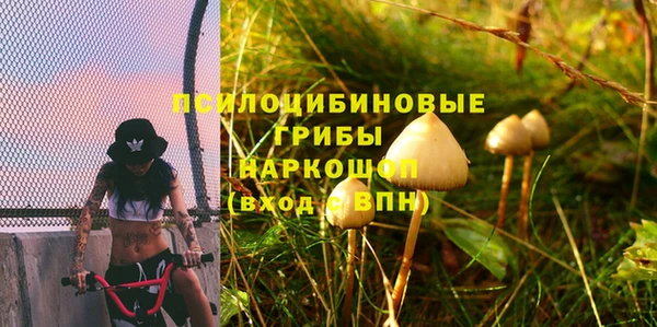 apvp Алексин