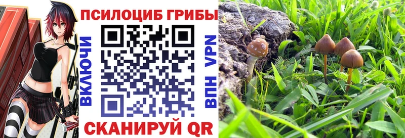 OMG сайт  Духовщина  Галлюциногенные грибы мухоморы  где купить наркоту 